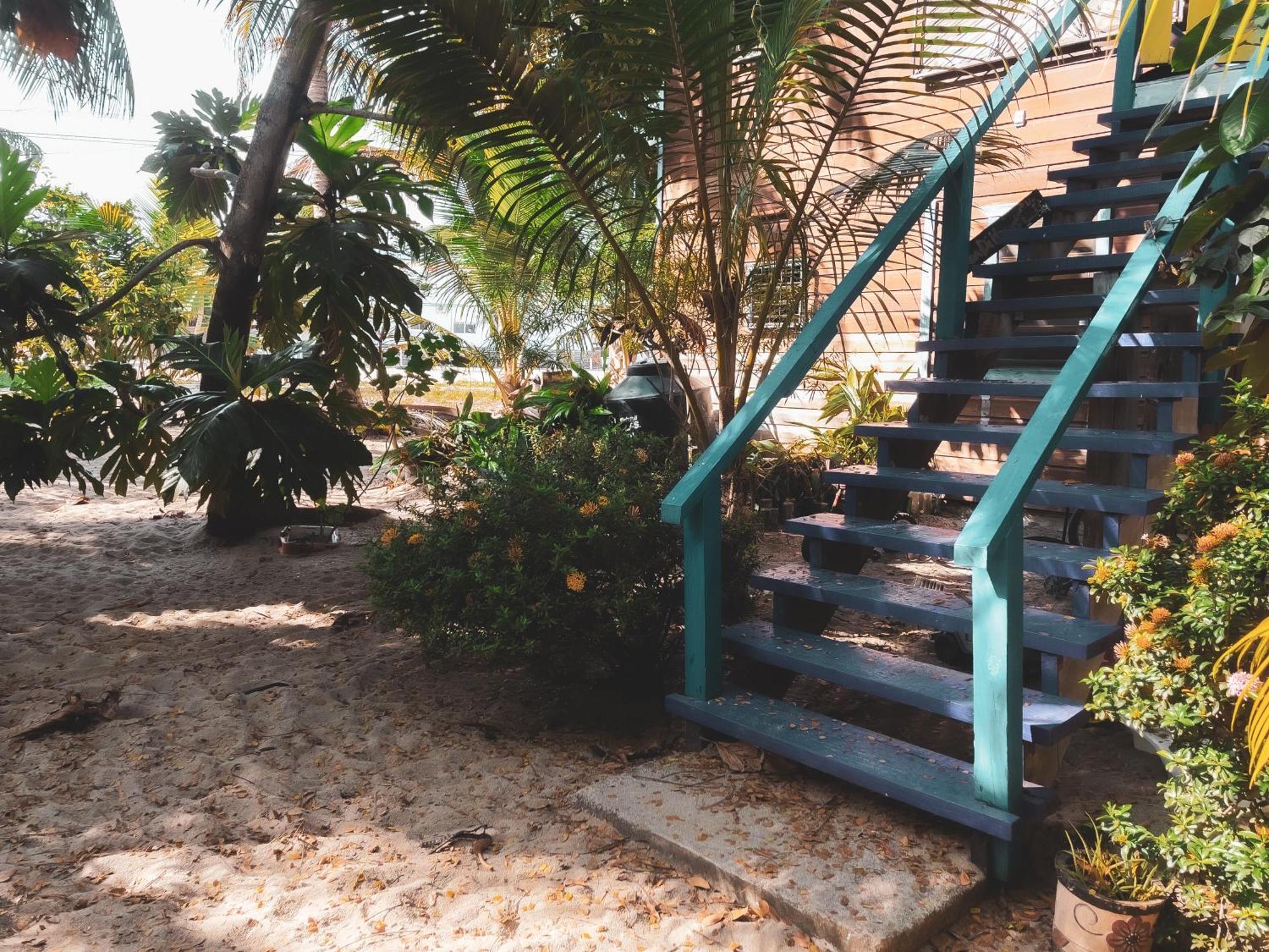 Anda Di Hows Hostel Placencia Exterior foto