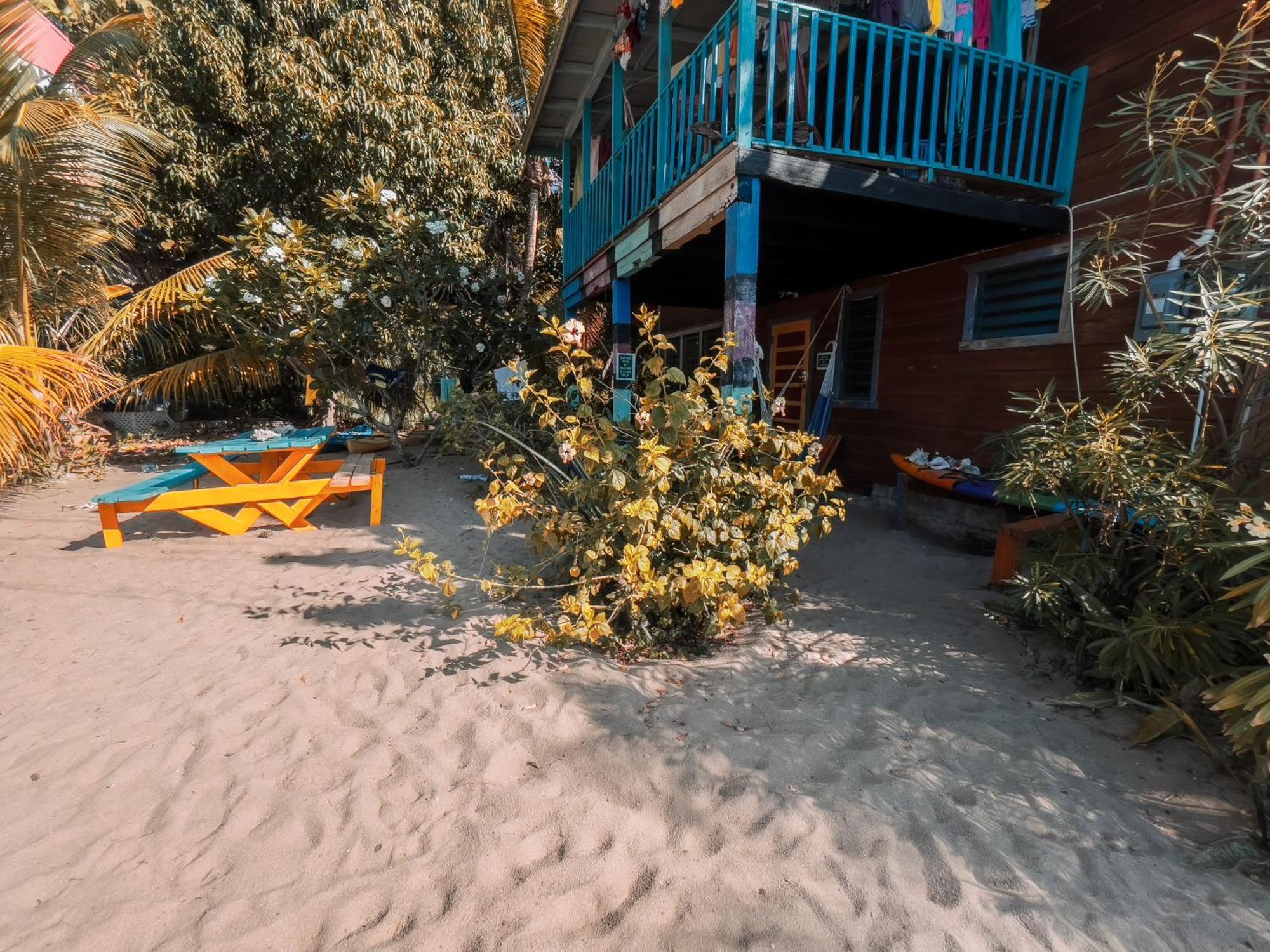 Anda Di Hows Hostel Placencia Exterior foto