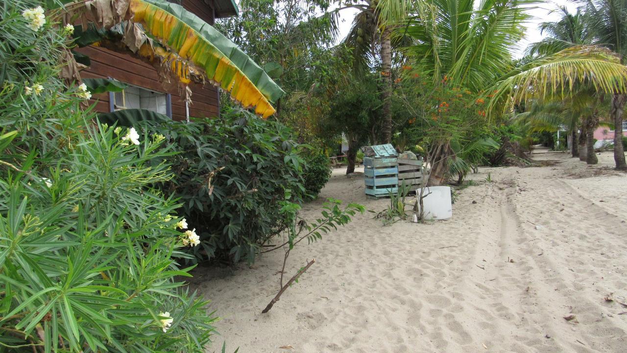 Anda Di Hows Hostel Placencia Exterior foto