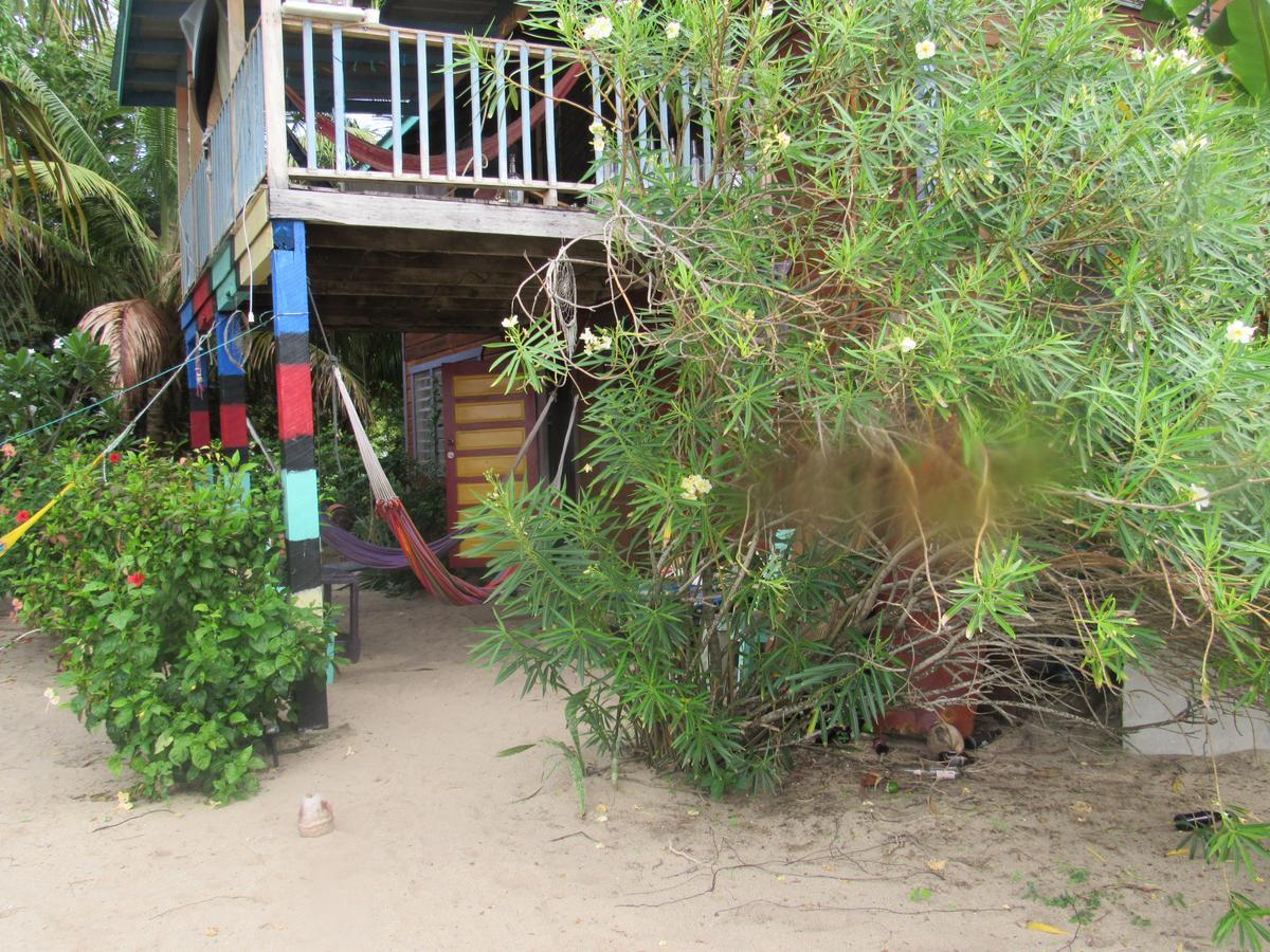 Anda Di Hows Hostel Placencia Exterior foto